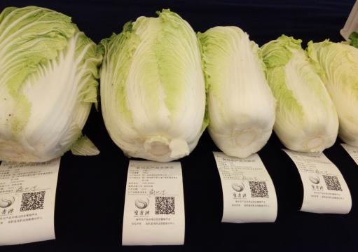 都江堰市蔬菜质量安全联盟率先启用食用农产品合格证_生鲜食品_资讯